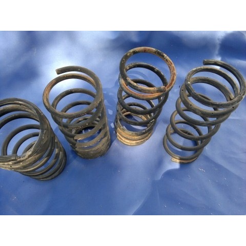 Coil Spring Standard