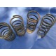 Coil Spring Standard