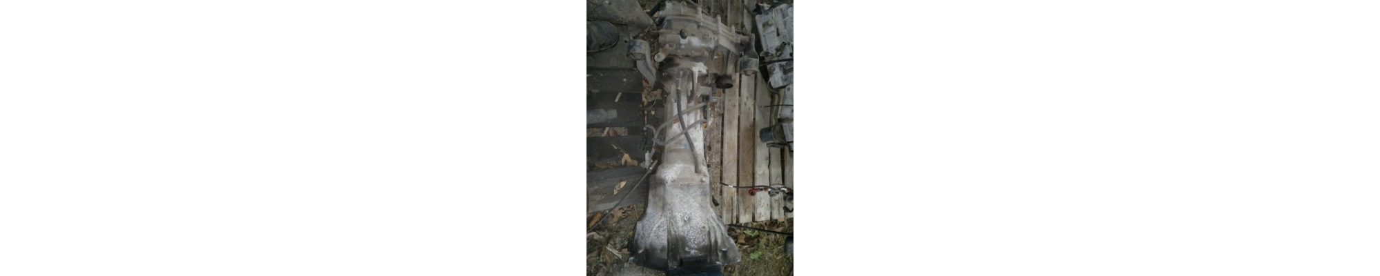 D5 Transmission